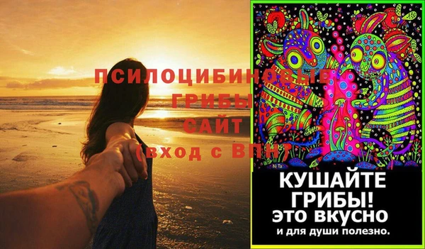 шишки Баксан