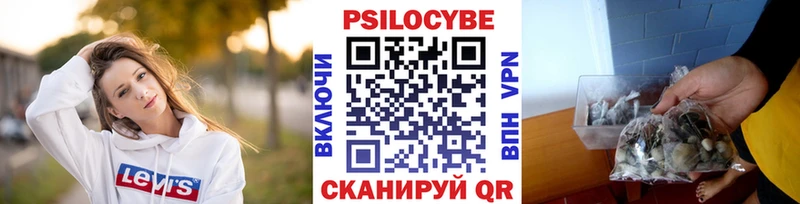 Псилоцибиновые грибы Psilocybe  цена наркотик  Боготол 